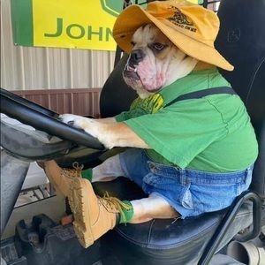 Gifts for baby’s family.